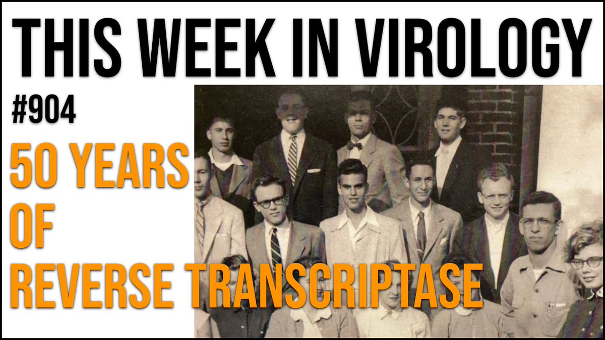 profvrr's tweet photo. On this #TWiV Vincent travels to Cold Spring Harbor Laboratory to speak with David Baltimore, John Coffin, and Harold Various about the discovery in 1970 of retroviral reverse transcriptase and its impact on life sciences research https://t.co/yB2C2DkjGj https://t.co/5SAvScVcq7