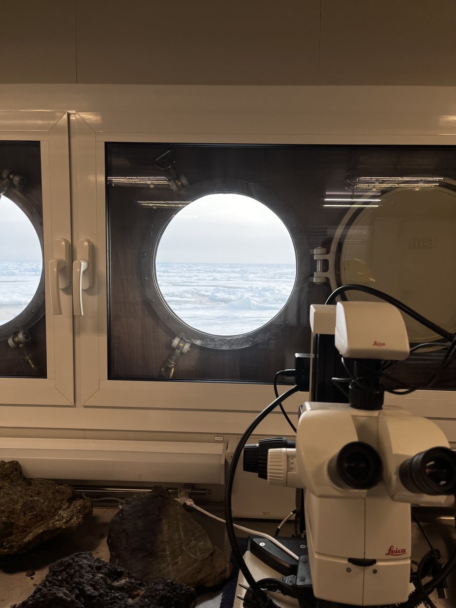 Amazing views from the lab onboard #rvkronprinshaakon #uibgeo #cdeepsea