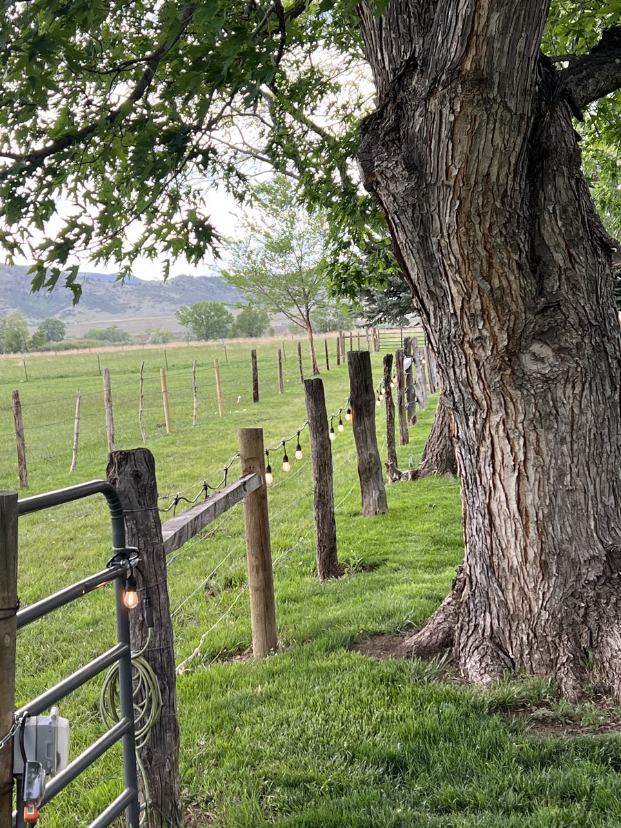 rsamuelsonb1's tweet photo. Was at a very cool wedding venue this weekend, couldn't help but admire the #Coloradoscenery nearby - so peaceful and rural on a Friday evening. #Farm #ColoradoHistory #Longmont https://t.co/MnnCNfdesy