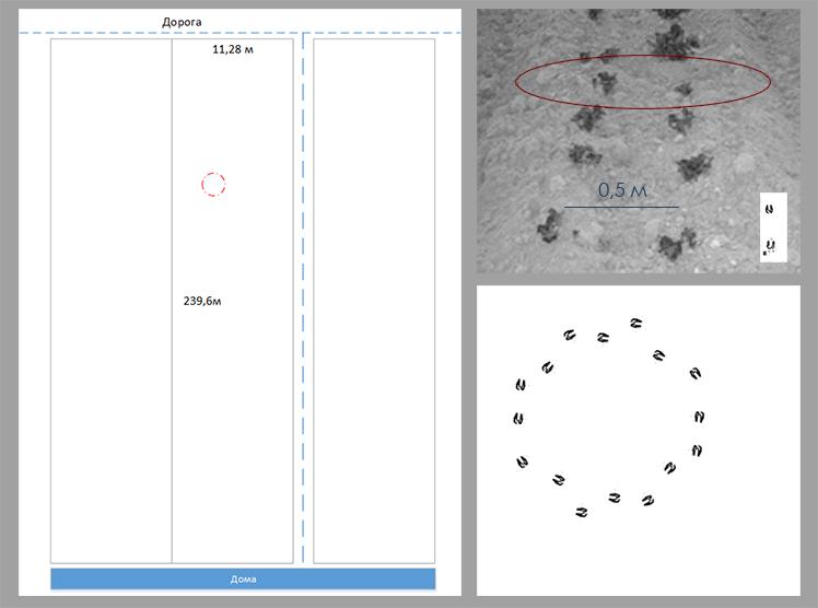 July Nechaeva tweet media