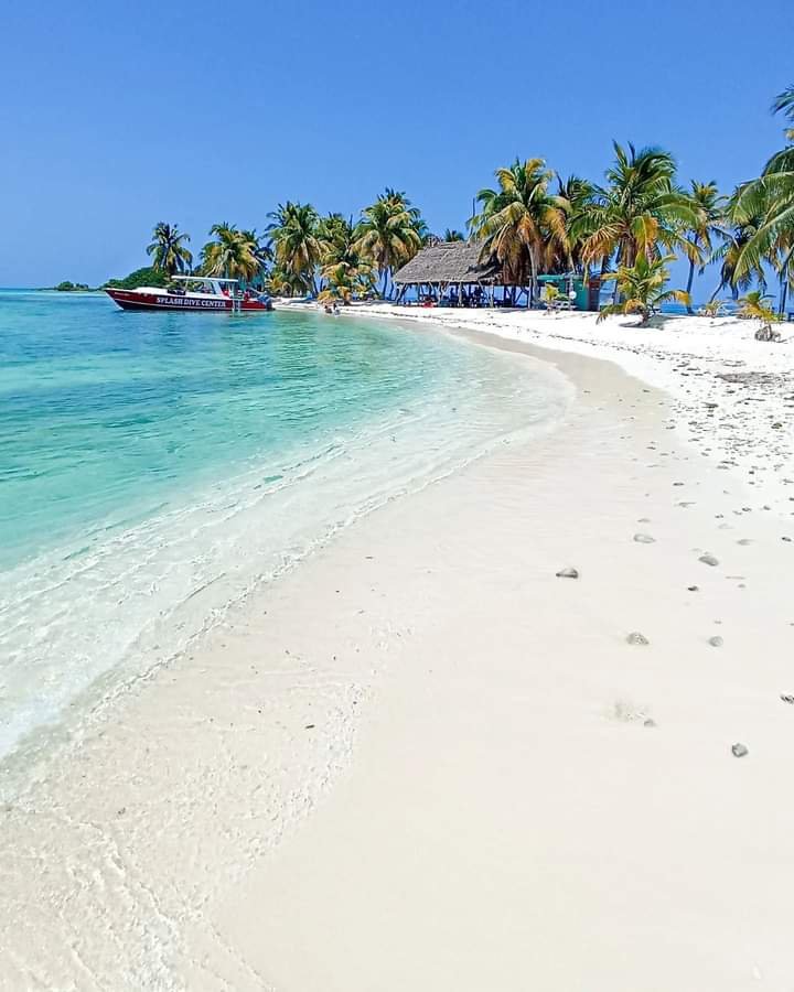 Roberto00436790's tweet photo. A day trip to Laughing Bird Caye while visiting Placencia is a MUST!
contact us now for more info or visit our website at https://t.co/yKmennokQI to book your dream Belize vacation.
#belizeresorts #bookyourbelizetripnow #belizeislands https://t.co/hNtE6FR1Ta