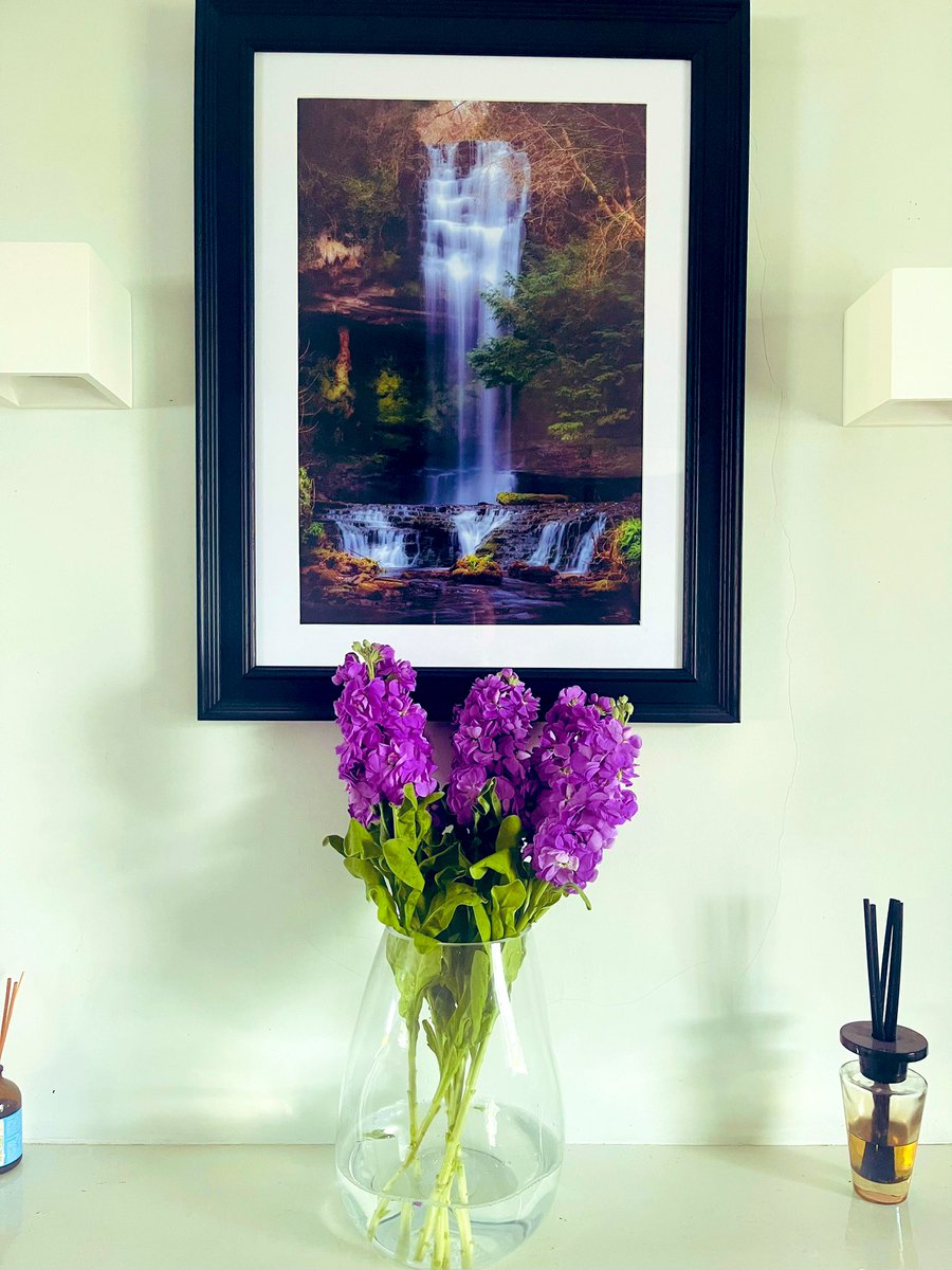 Les Kelly Photography tweet media