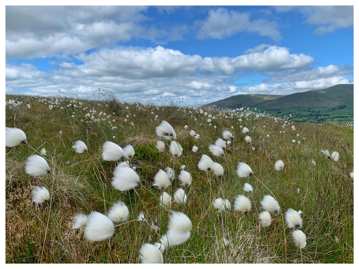 Neil Atkins tweet media