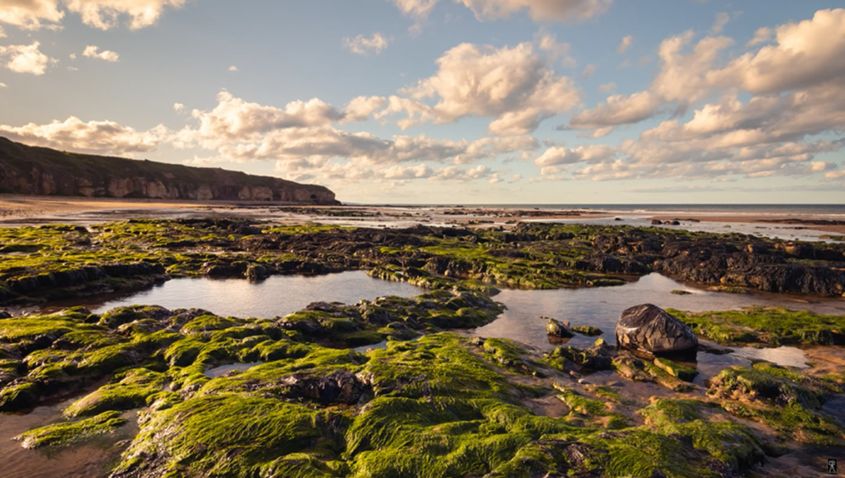 FrioPhoto tweet media