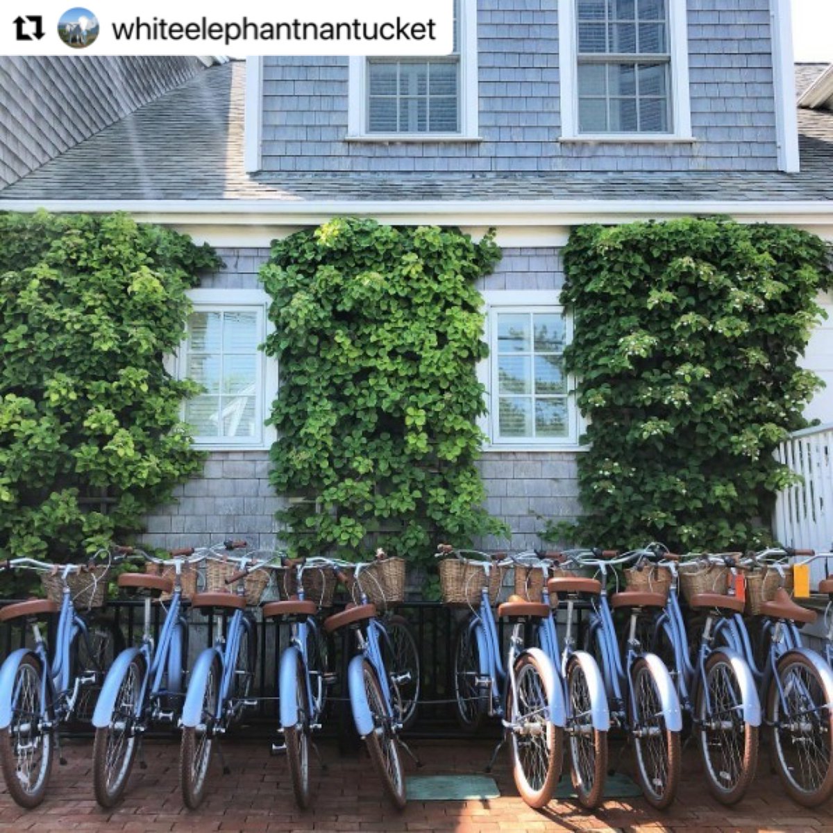 NantucketFilmF's tweet photo. It’s a great weekend for a getaway to #nff2022 sponsor @WhiteElephantMA!

https://t.co/vPYPCxNaS1

#hotel #luxury #nantucket #nantucketisland #nantucketstyle #ack #weekendgetaway #escape #travel https://t.co/FPObWcEcti