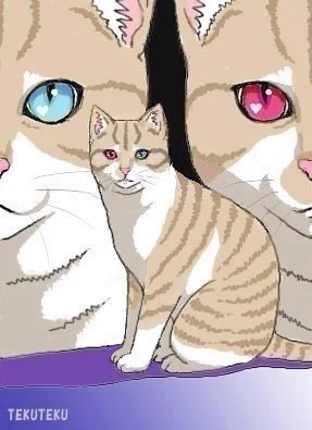 #絵柄が好みっていう人にフォローされたい 
絵柄?🐈🐈‍⬛🐈ニャ~🎶
 #illustration #オリジナルイラスト 