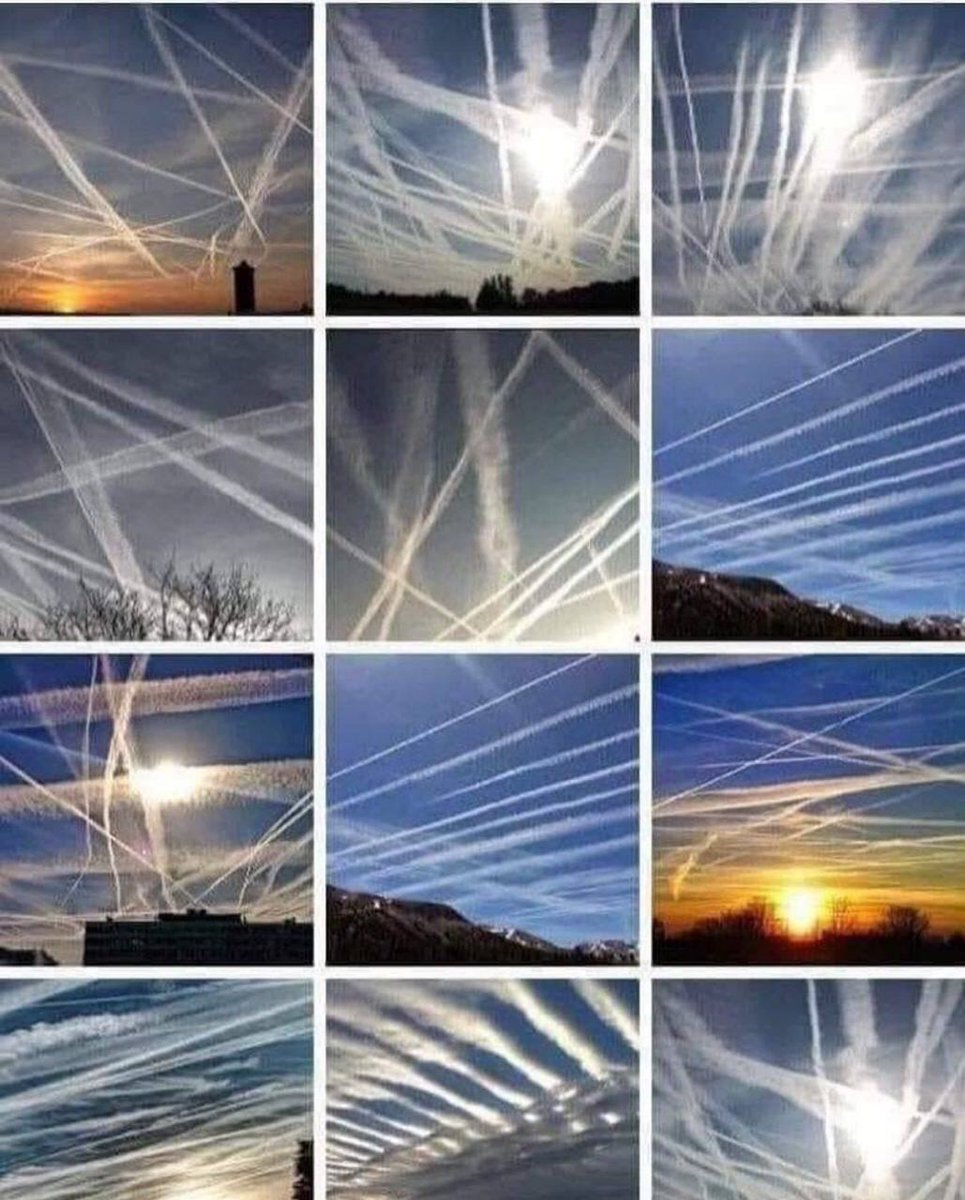 sophiadahl1's tweet photo. Dont worry,  its only contrails 🤡🙏👇👇 https://t.co/vW8fTE23AZ