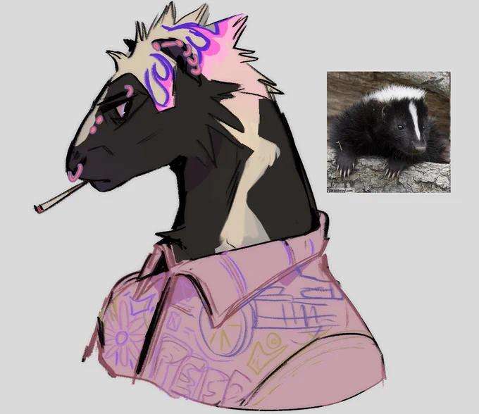 🦨 