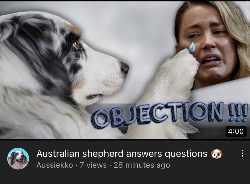 My new youtube video is out! I am answering human questions ! youtu.be/NI_LyJ53W5I #dogsoftwitter