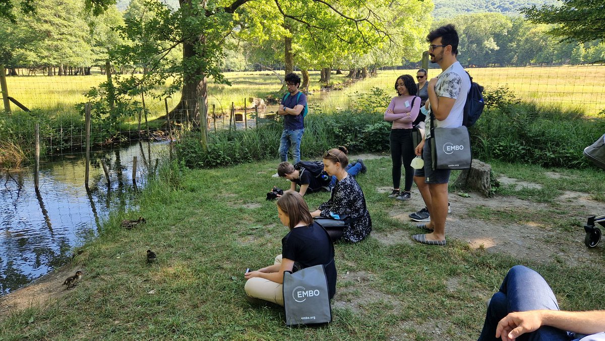 Marcia_lincRlab's tweet photo. #EMBOmacromolecular attendees calculating ducks' Fourier transforms at Vizille Castle @CowtanKevin @EMBLGrenoble @PSB_Grenoble @EMBO @EMBOevents #structuralbiology https://t.co/7sygGXDZ1B