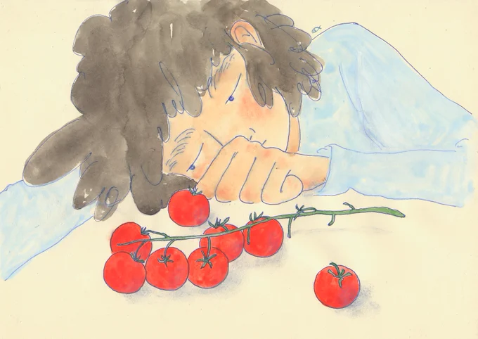 tomatoes 