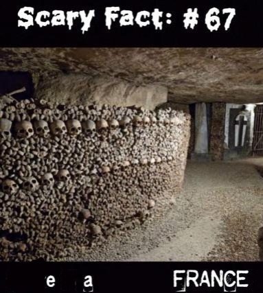 mr_trador's tweet image. 