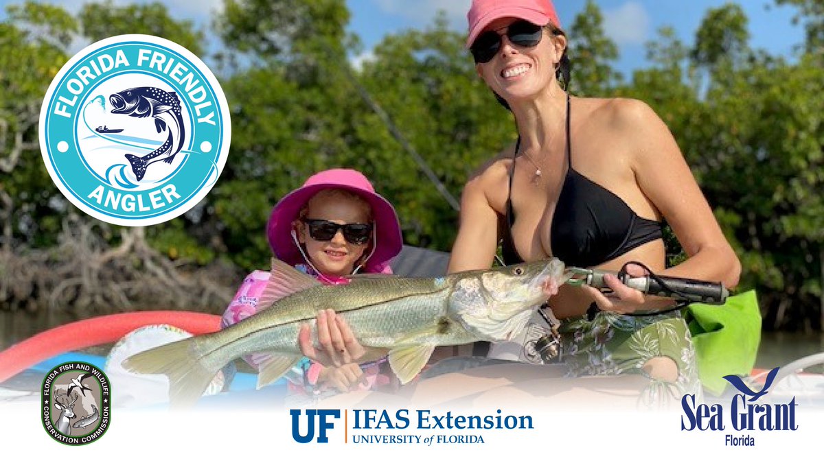 FloridaSeaGrant's tweet photo. Newly developed by #fisheries experts from @MyFWC, @UF_IFAS,  and #FloridaSeaGrant, the free #FloridaFriendlyAngler course is LIVE for anglers looking to up their game by learning skills and practices that help ensure fishing opportunities for the future. https://t.co/xryMnqGoGf https://t.co/p0I1vDueyQ