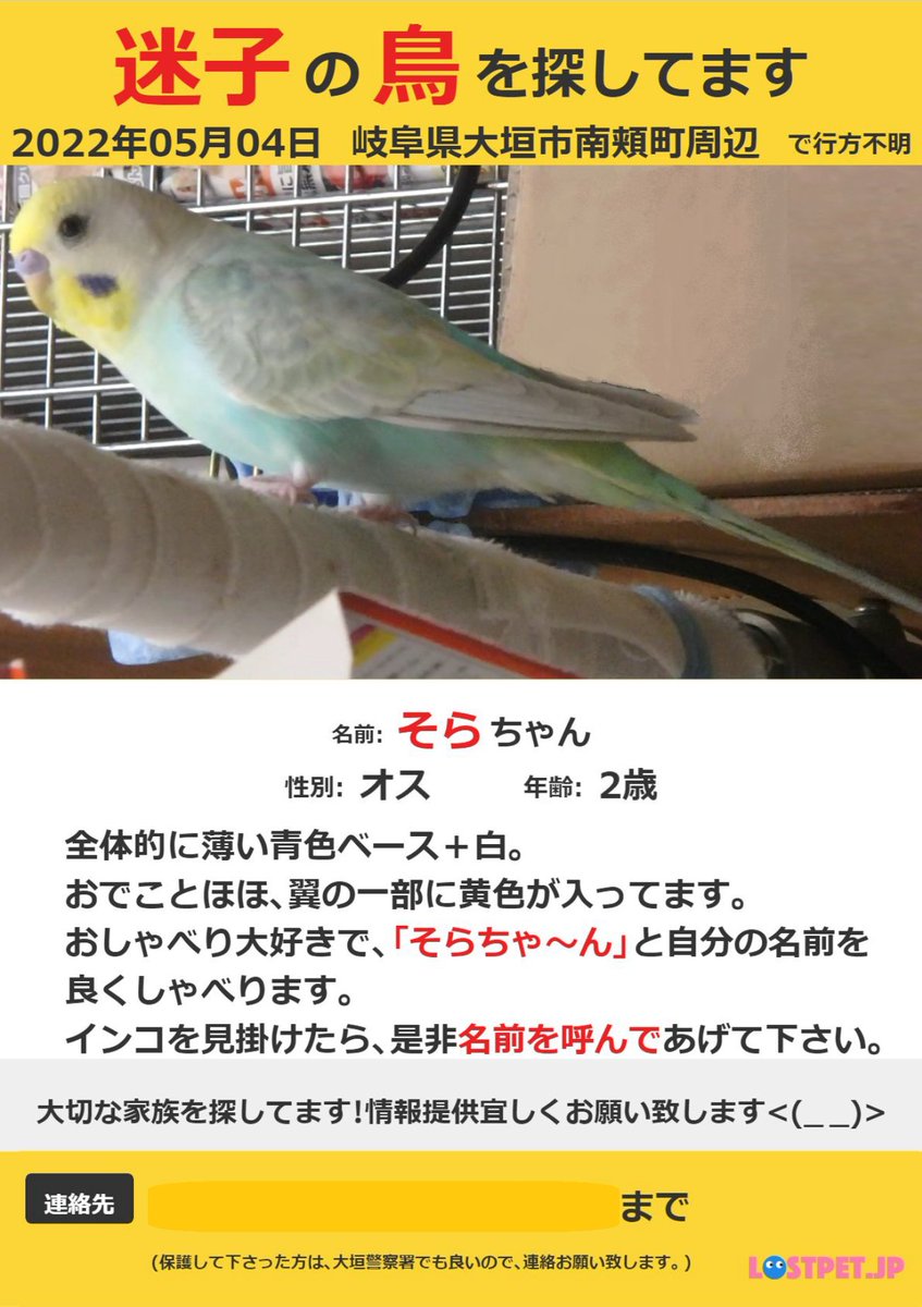 そらちゃん@インコを探してます!岐阜 tweet media