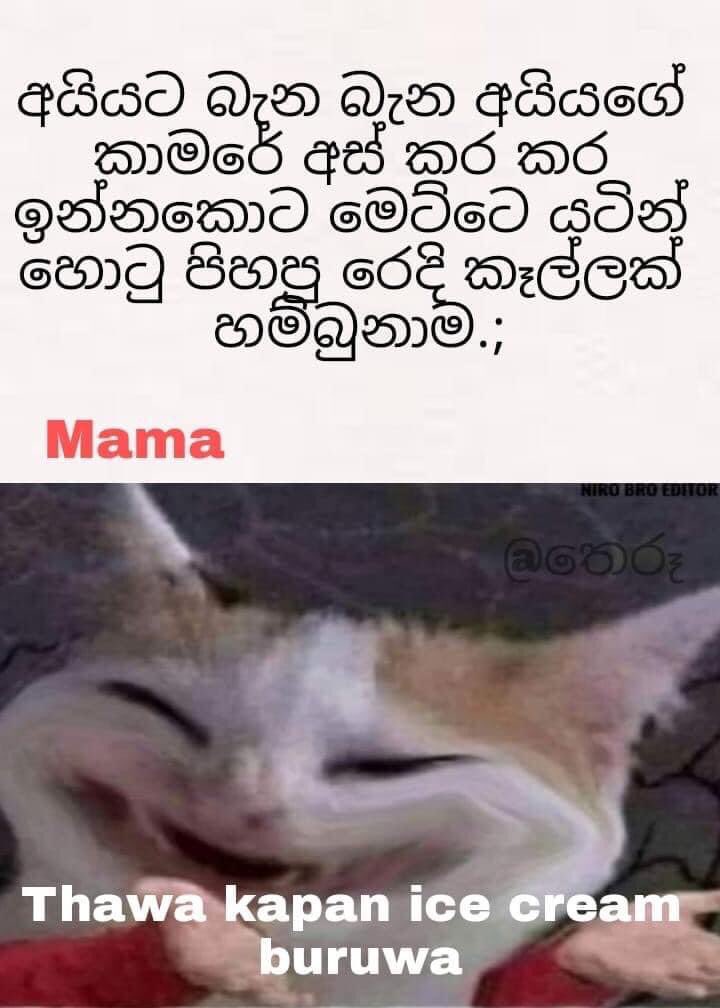 BoniWith's tweet image. 