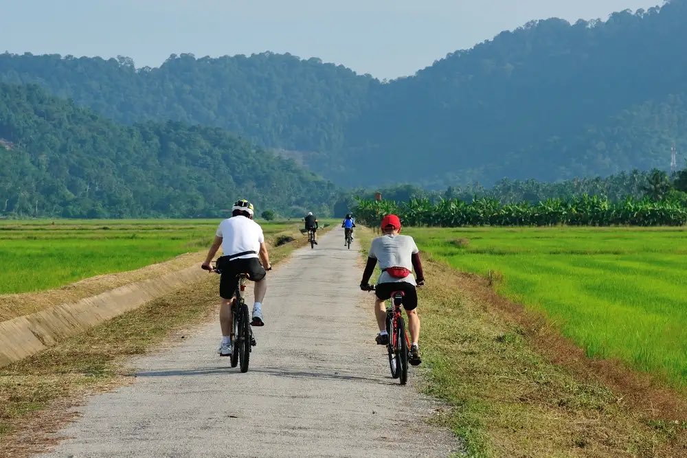 AsiaBackroad's tweet photo. Join with us for a life time experience. Our cycling routes are off roads and back roads, we enjoy the countryside, the villages, Friendly people and experience different cultures. 
.
.
#cycling #adventure #tours #travels #biking #experience #local #countryside #backroads https://t.co/Ezg89hAFrL