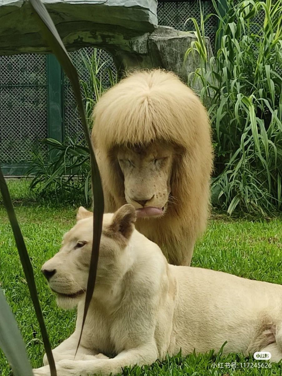 โคตรฮอตเนิร์ด