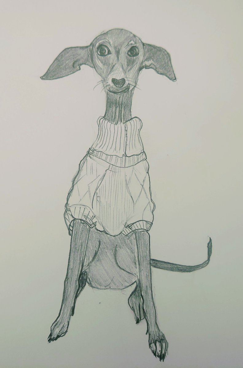 drkcarrutherst's tweet photo. Ok.There is much to be absolutely miserable about these days. But the soon to be launched (1 June) #DearDiaryProject #IllustratedDigitalArchive offers a few crumbs of comfort in its #CabinetOfCuriosities. Not least the tale of #TheLockdownPuppy #Covid @SRHE73 @myBCUresearch 🤓 https://t.co/MV2ov6tZiu