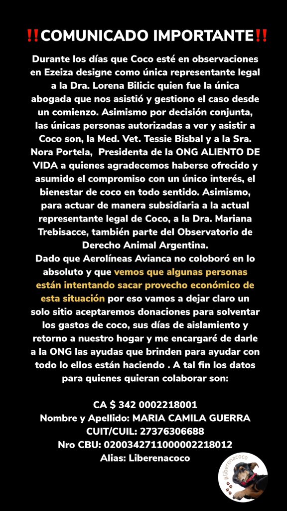 liberen_acoco's tweet photo. ‼️‼️‼️
Los únicos canales de difusión oficiales administrados por nosotros, sus dueños son esta cuenta de Twitter y el Instagram @liberen.acoco https://t.co/vXrAoL9Lnw