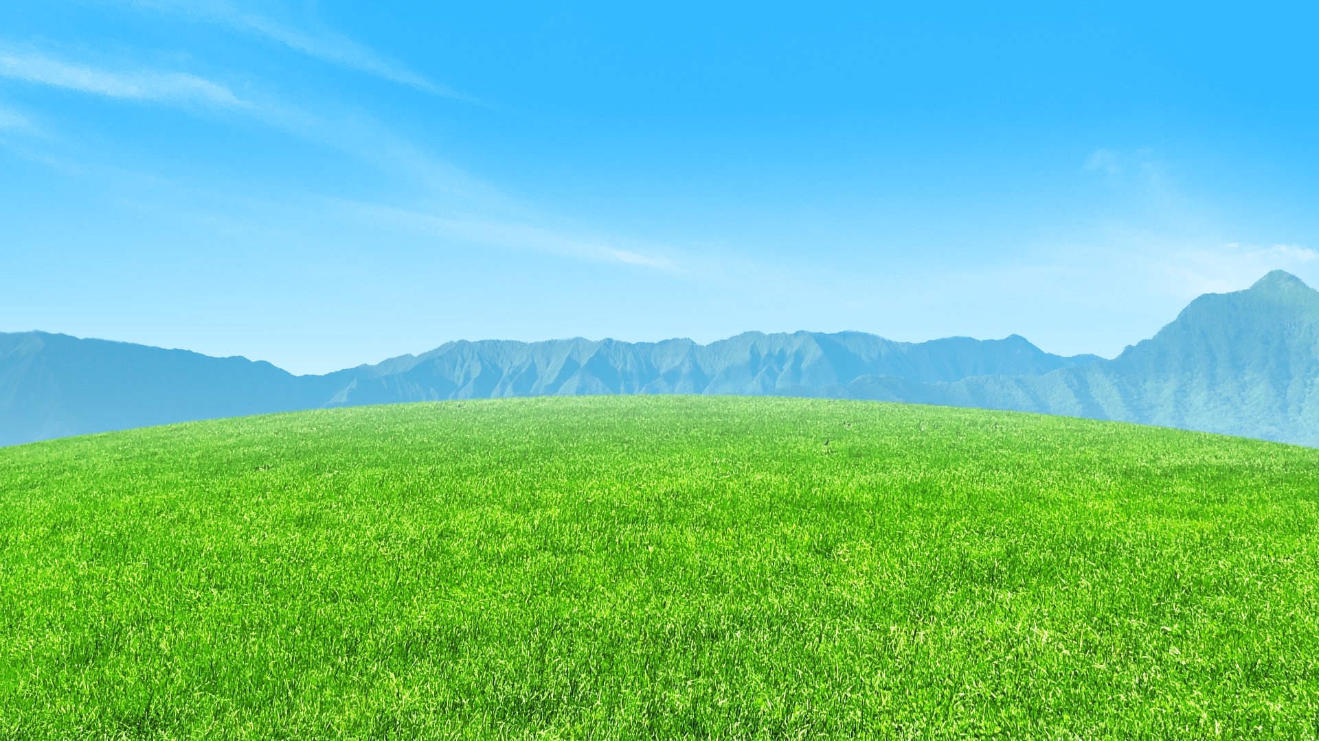 Green Grass Under Blue Sky Nature HD wallpaper  Peakpx