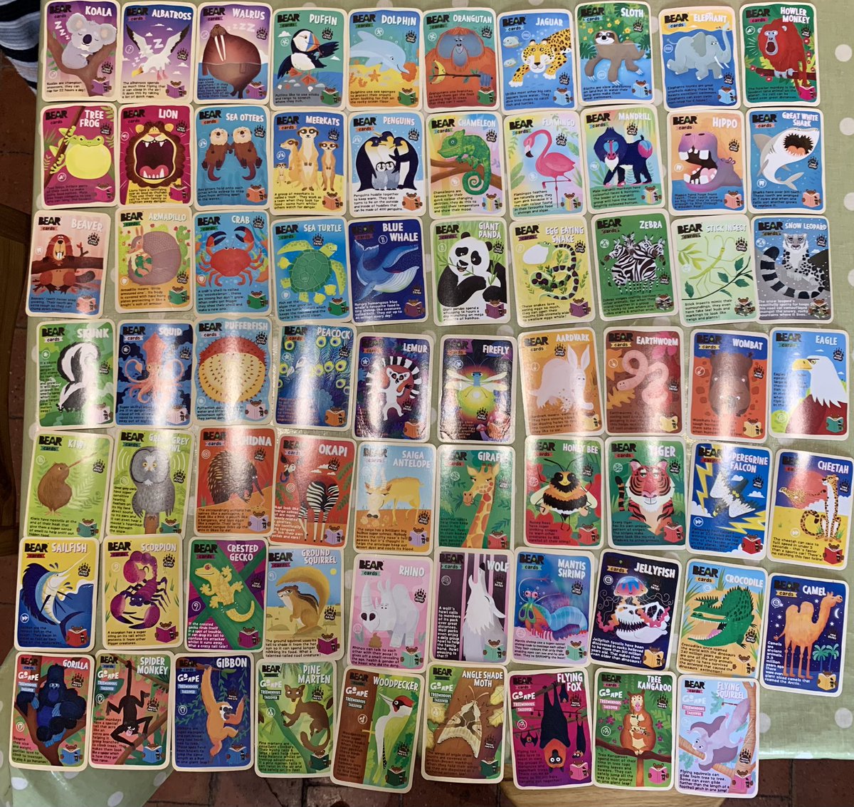 For those of you who have children and stuff them with Bear Yo-yos - I’ve collected all the cards (plus bonus ones, but am missing a couple of Winter Wildlife ones). Just quietly basking in the warm shade of my magnificence. Anyone else do the same? #bearsnacks #yoyos