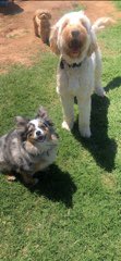 FunFuriends tweet picture