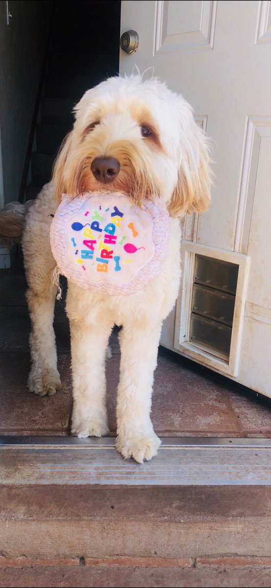 FunFuriends tweet picture