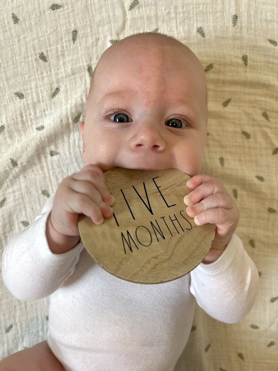 hiitslyssa's tweet photo. babe update since I’m almost never on here… he’s 5 months old 🥲 https://t.co/uGnCW8FkN9