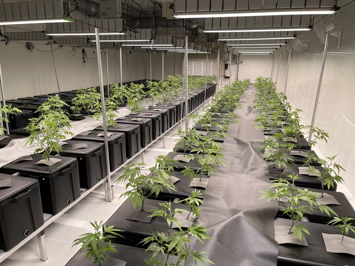 First Class Funk had a great start