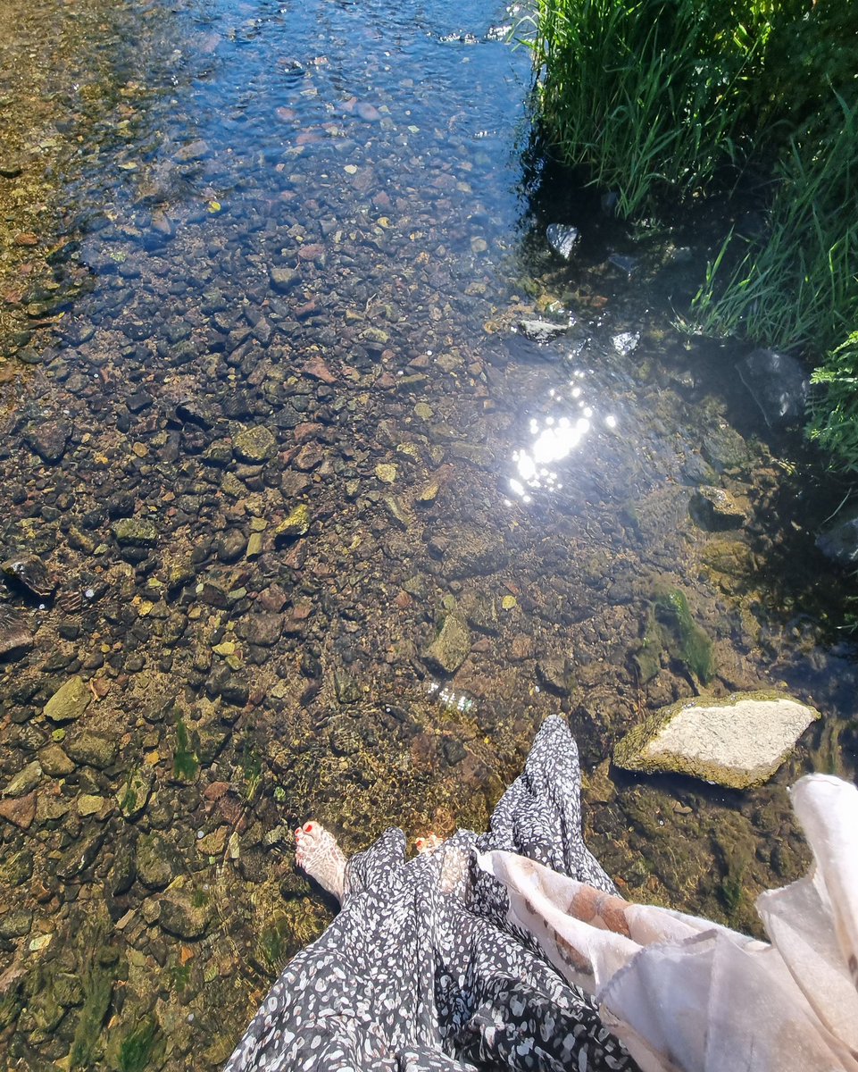 A beautiful couple of days playing Bach, Mozart and Schubert at <a href="/StDavidsFest/">St Davids Cathedral Music Festival</a> with <a href="/FlorilegiumUK/">Florilegium</a> ❤️🎵🐑