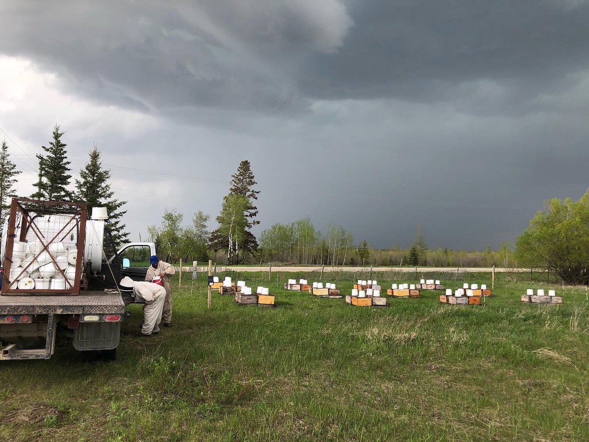 Todd_Ashley's tweet photo. The week started off perfect with sunshine and no rain.  Able to make up some much needed time to “plant22” for beekeepers.  But Mother Nature won the battle so I did what I do best…#baddayfishingbeatsgooddayofwork https://t.co/OGkD7VPICD