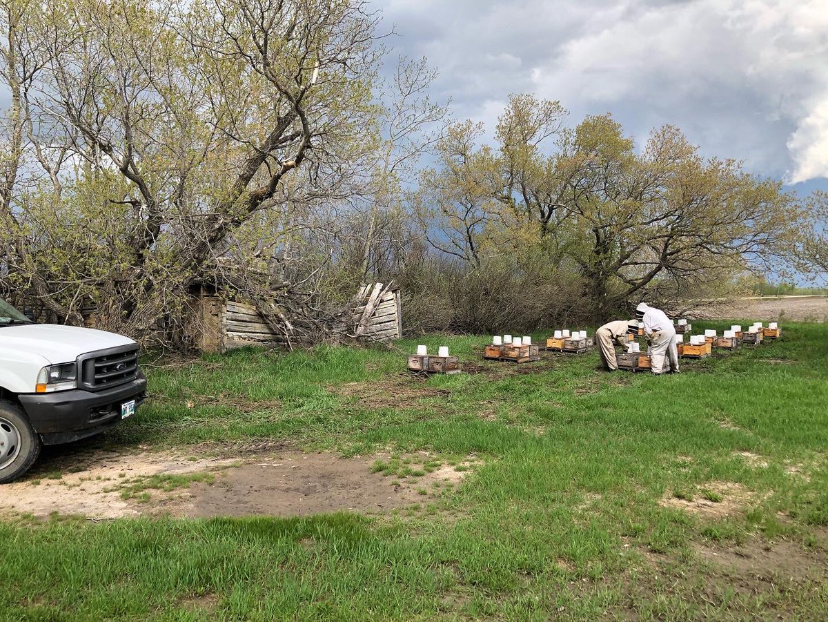 Todd_Ashley's tweet photo. The week started off perfect with sunshine and no rain.  Able to make up some much needed time to “plant22” for beekeepers.  But Mother Nature won the battle so I did what I do best…#baddayfishingbeatsgooddayofwork https://t.co/OGkD7VPICD