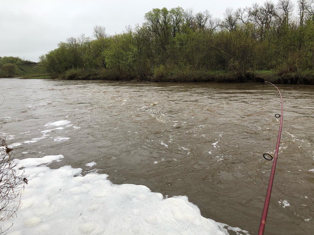 Todd_Ashley's tweet photo. The week started off perfect with sunshine and no rain.  Able to make up some much needed time to “plant22” for beekeepers.  But Mother Nature won the battle so I did what I do best…#baddayfishingbeatsgooddayofwork https://t.co/OGkD7VPICD