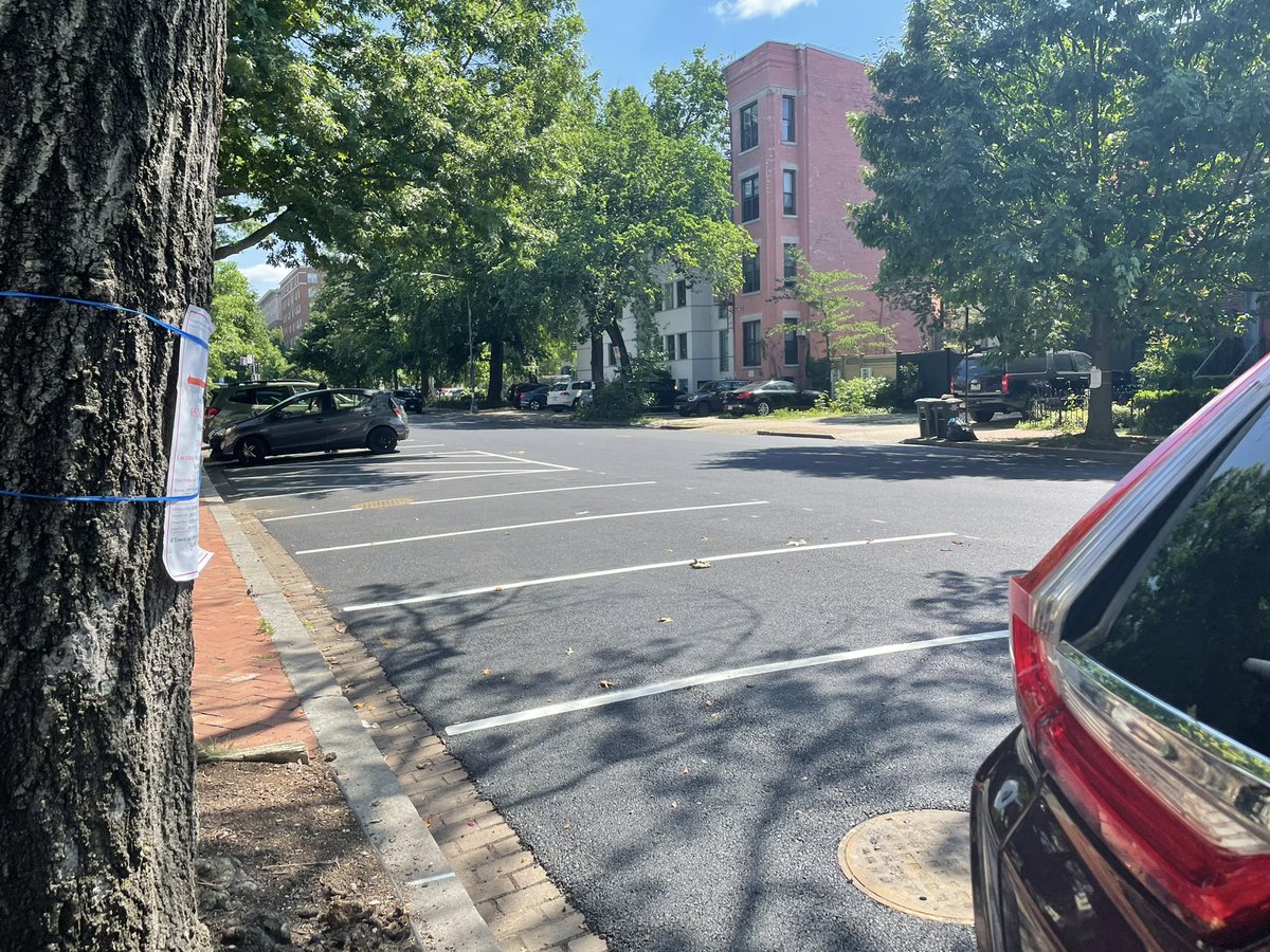 If this many people can find somewhere else to park their car during repaving, maybe the 1900 block of New Hampshire Ave. NW should have protected bike lanes. 🤷🏻‍♀️