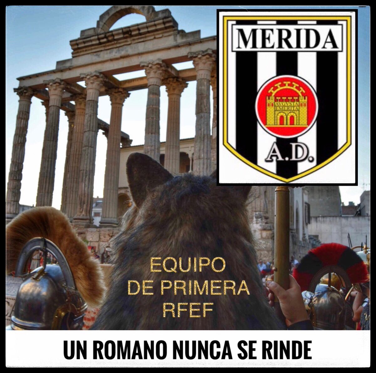 JOSE MARIA tweet media