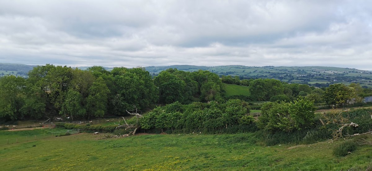 Amanda_Durber's tweet photo. Great run this morning on the lanes. #NorthWales #running #HalfMarathon #SundayMorning
@absolute360 @RunWales @UKRunChat @runr_uk @RunSomeHQ https://t.co/0RKLxJoFh0