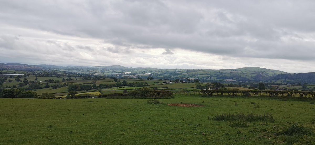 Amanda_Durber's tweet photo. Great run this morning on the lanes. #NorthWales #running #HalfMarathon #SundayMorning
@absolute360 @RunWales @UKRunChat @runr_uk @RunSomeHQ https://t.co/0RKLxJoFh0