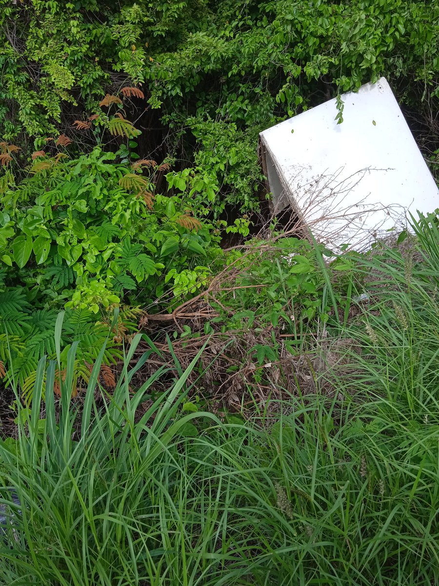 leni_camacho's tweet photo. @Prensatuy Arichuna se ahoga en problemas, basura y agua ,hidrocapital conoce el problema y no da respuesta, la basura ,se la llevan por palas y las moscas nos invaden.......la zona es.ligar de desechos de carros desvalijados y picados https://t.co/fwPWZbjBgz