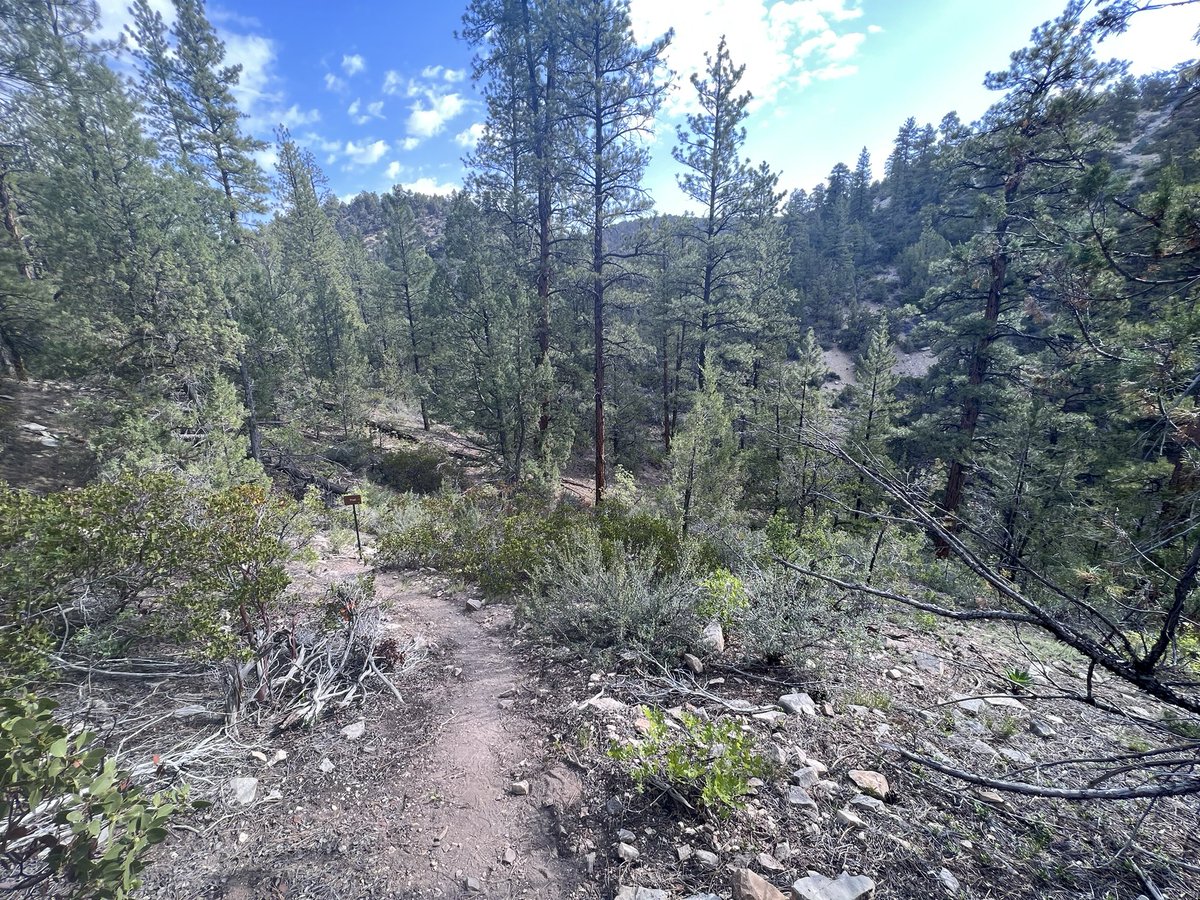 ablinkin's tweet photo. Well it looks like my brother @nearlyUltra is running @Bigfoot200 and now I’m getting ready to pace him :-) https://t.co/tzdAmU0VnU