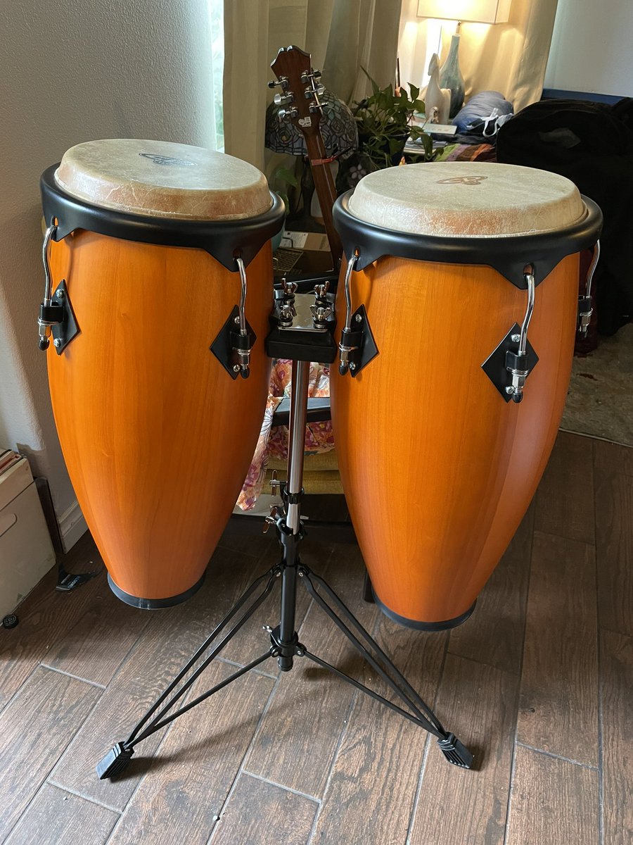 Cheri Wilson tweet media