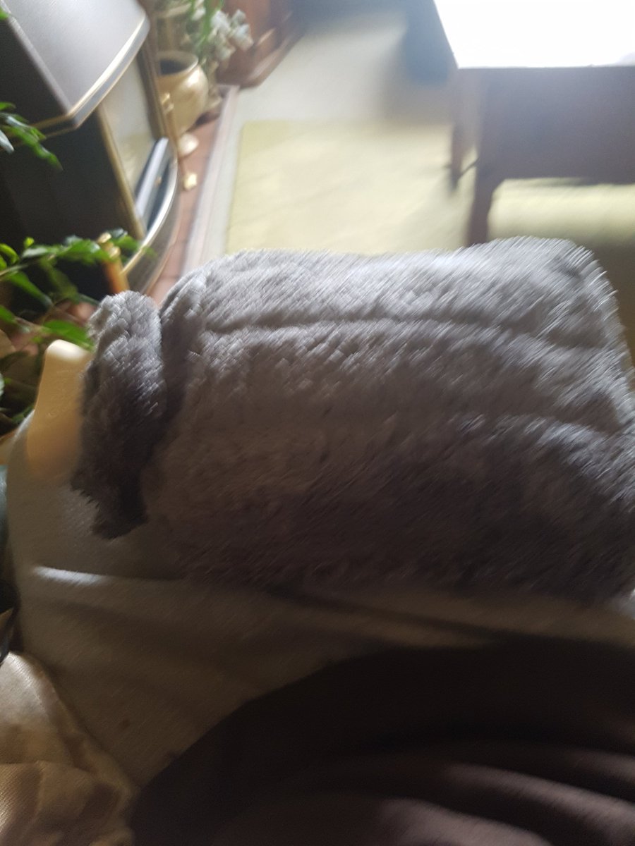 yorkshirebloke_'s tweet photo. 3 days away from June and I've just done a hot water bottle #chuffingfreezing https://t.co/INq96LHsDv