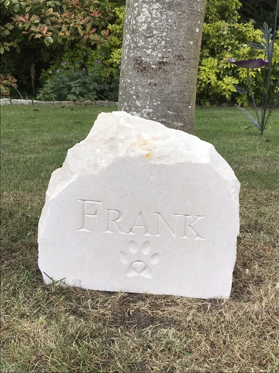 Be More Frank tweet media