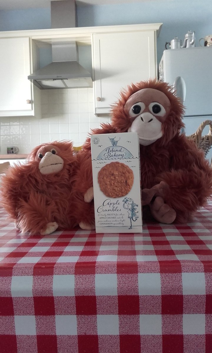 Today's #orangutanfriendly treat.