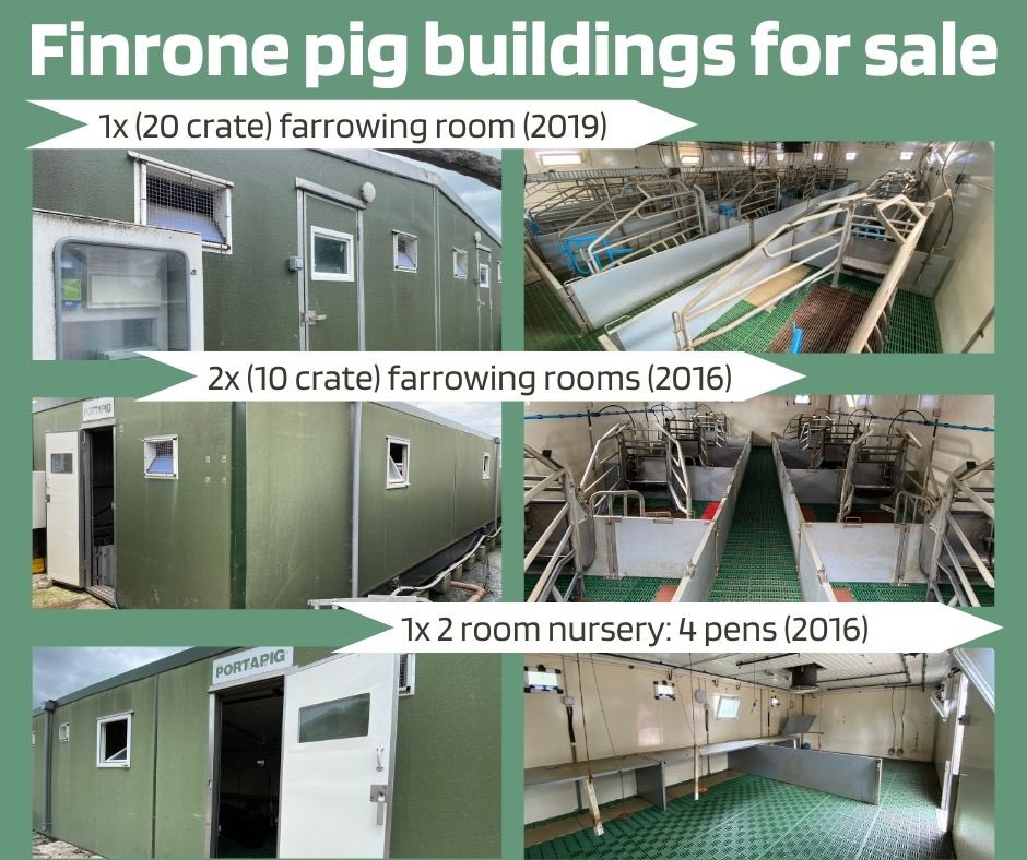 hannah_m_lloyd's tweet photo. Please share - 🐖
Finrone pig buildings for sale – excellent condition 
📷 More photos or information available on request
🚛 Buyer collects and viewings can be arranged
📍Located near Shrewsbury, Shropshire
📞 01743 884074
📧 warwickfarm1@gmail.com https://t.co/yNEMJyjMtq
