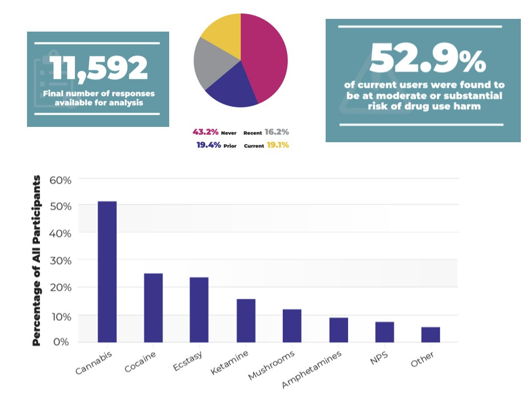 DUHEI is largest, most significant study of HEI student drug use &amp; reports >50% of students have used drugs, >50% of students who currently use are at risk of drug-related harm, and that cocaine use is much more prevalent than previously recorded.