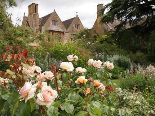 thegardenvsw's tweet photo. One garden where a large collection may be seen is Hidcote Manor. I put this in for the benefit of readers who live in that part of the country; and must add that, apart from the old roses, it is, perhaps, the loveliest garden in the west of England. https://t.co/5Dibp24PRI https://t.co/Rh2mxKjmpk