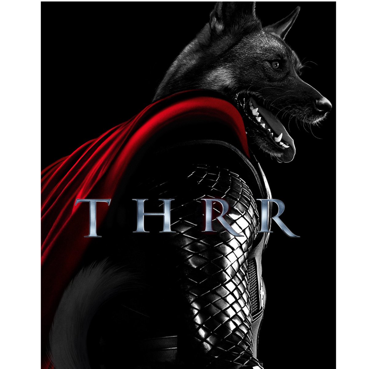 RealMarvelTails's tweet photo. The Dog of Thunder hits the big screen. May 2011! #marveltails #comicart #animalart #marvelcomics #thor #thrr #dog #elkhound #marvelstudios #thormovie https://t.co/qwakBnwnCK