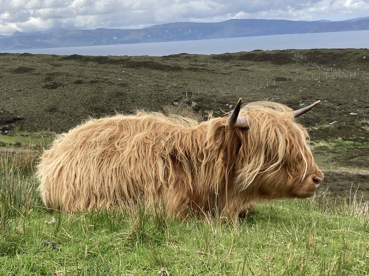 Barbara Rayner tweet media