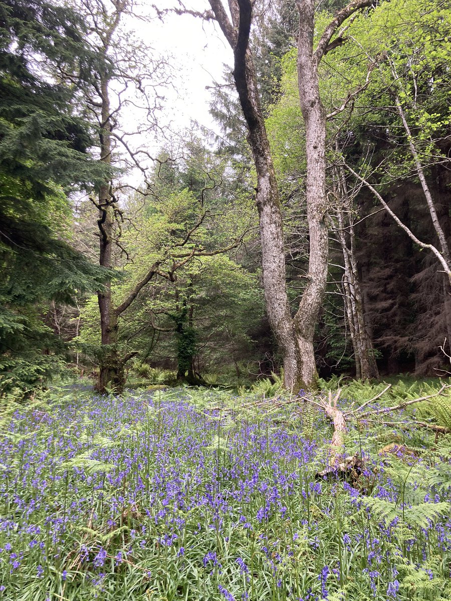 Barbara Rayner tweet media