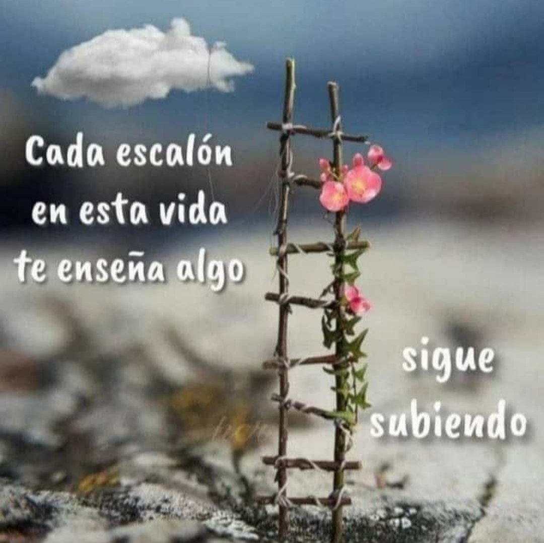 José Gugliotta Gravé (@josegugliotta) on Twitter photo 